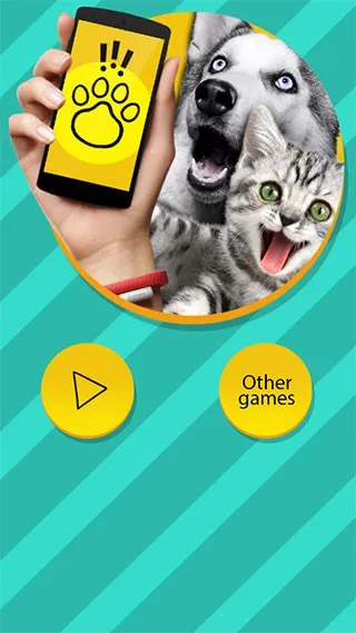 PetTranslator�������Է�����2026���°汾