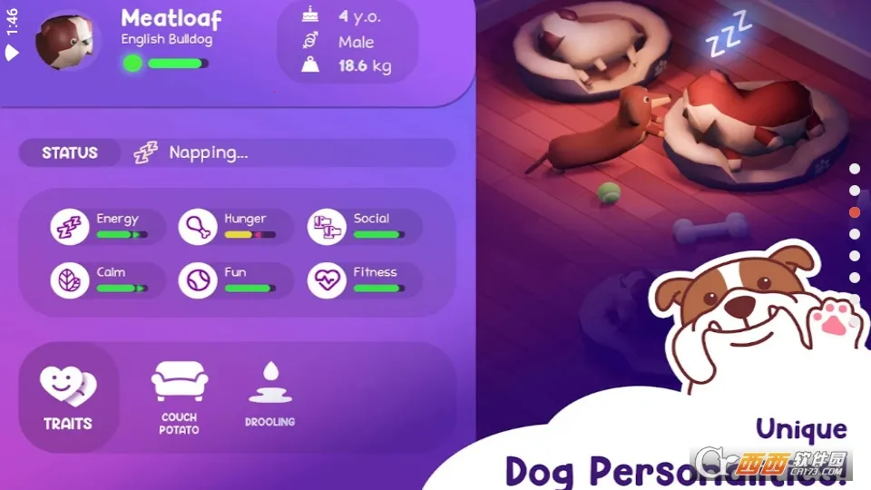 �������Ƶ�2026���ذ�װ