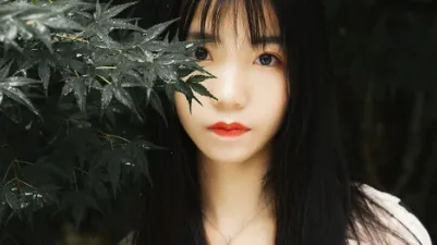 ���Ż��������ֻ���