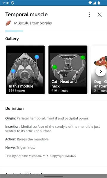 vet Anatomyv4.3.1 ��׿��