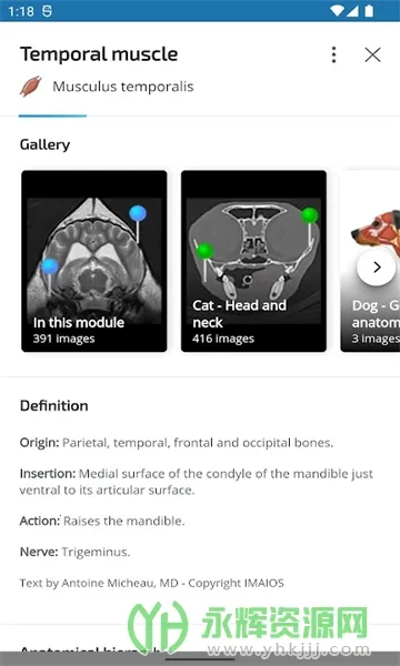 vet Anatomyv4.3.1 ��׿��