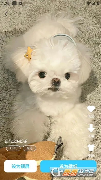 ׿ֻv1.0.5 ٷ