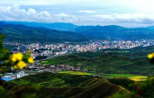 �ǻ�����