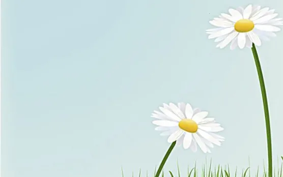 ���ü��˱�