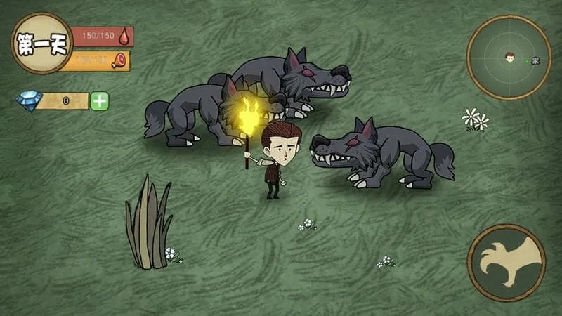 ��������2026����