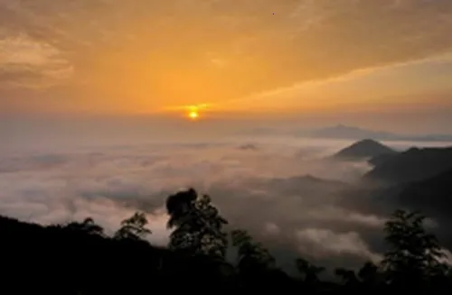 ���������ٷ����°汾