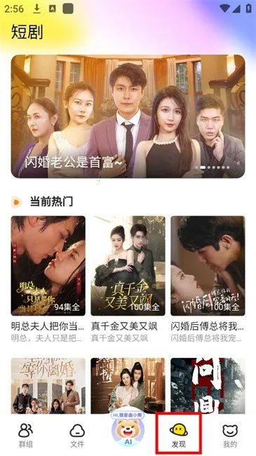 ��������Pro