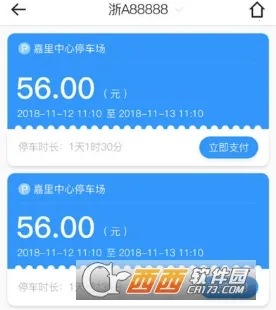 ����ͣ��