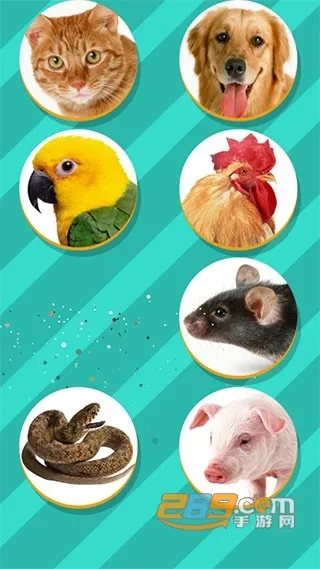 ���﷭����ȫ������v6.2.369 �ٷ���