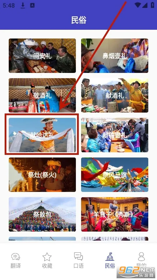 ���﷭���2026����