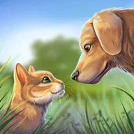 �ҵĶ�������v1.0.1 �ֻ���