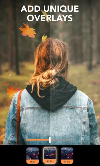 motionleap����ƽ��