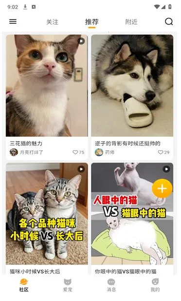 i���԰�����ֻ���v1.0.3 ���°�