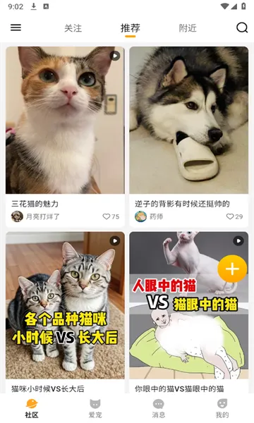 i���԰�����ֻ���v1.0.3 ���°�