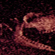 ����Steam��ֲv1.10 �ֻ���