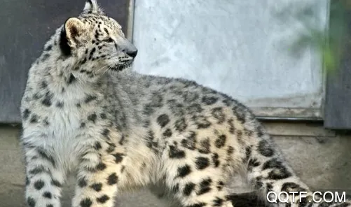 �й�����԰Э��2026����