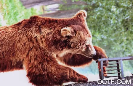 �й�����԰Э��2026����