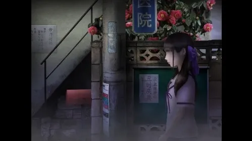 ������̵�����·��2026���°汾