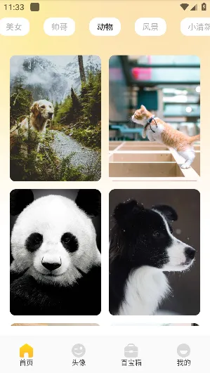 ������ֽ