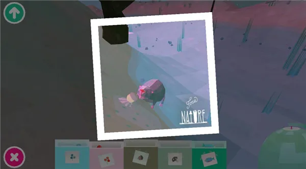 �п�����Ȼ