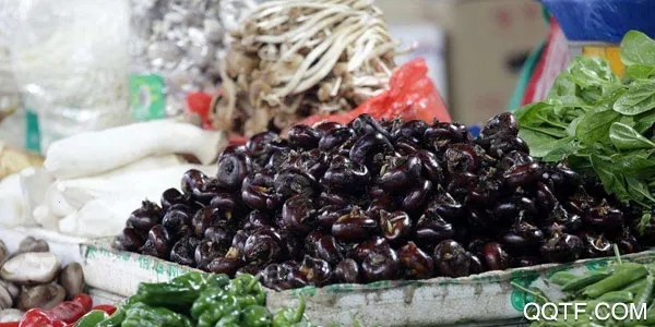 ȫ����˹ٷ����°汾