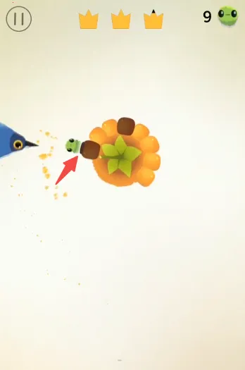 pigeon���ĸ���