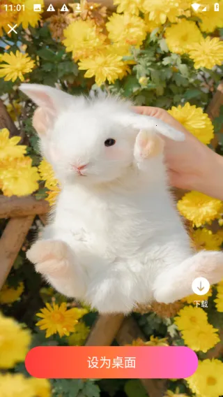 �ǻ��ֽv1.0.0 �ٷ���