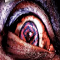 ������ħ2vandroidoyunclub �ֻ���