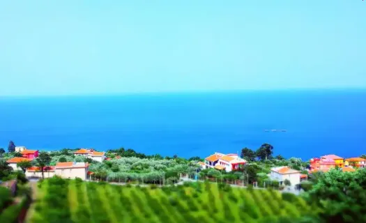 B12��������ֻ���