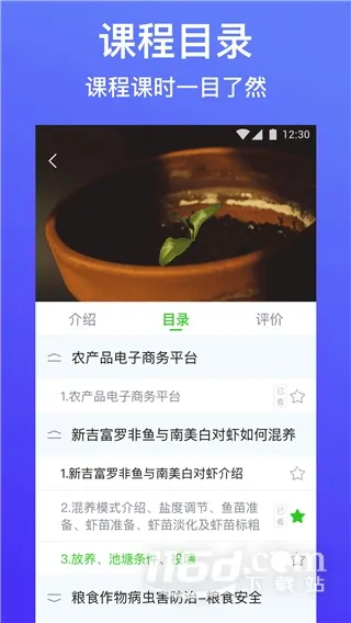 ������ũ