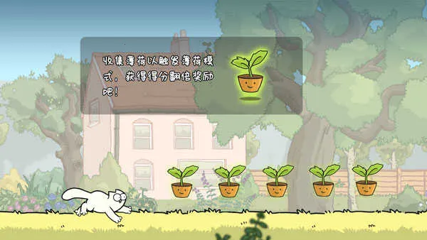 ���ɵ�è�ܿᰲ׿���ֻ���