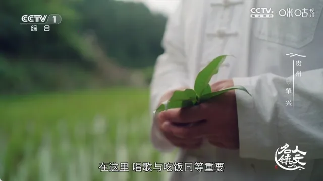 �䳲ֱ��TV����2026����v6.6.9 ��׿��