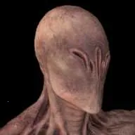 ������22026����v3.1 ��Ѱ�