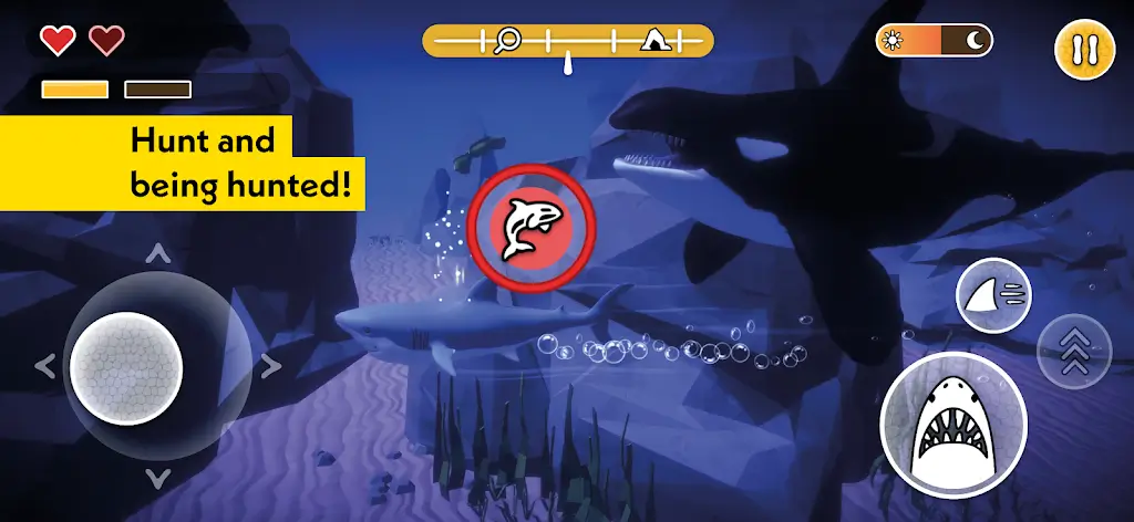 ������������2026����v1.0.0 ��Ѱ�