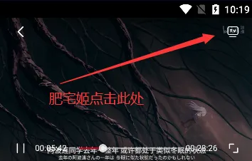 ������2026���°汾