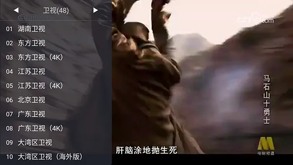 WebViewTVv1.10.7 �ٷ���