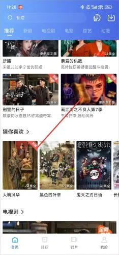 �ֲ���Ƶ��װ