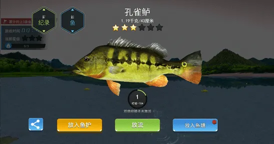 �����ʦ���ƽ��