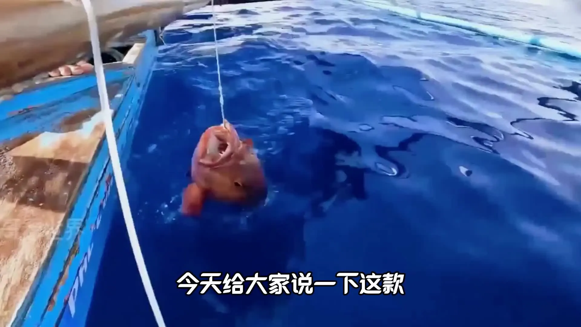 �����ʦ���ƽ��v1.0 ��׿��