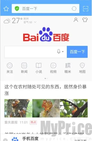 ��ӥ������������