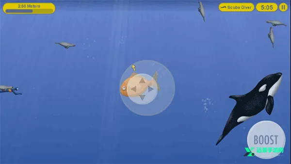 ��ζ��������������ֻ���