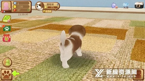 �Ķ�С��(С��������Ϸ)