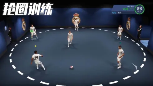 �����(����������)