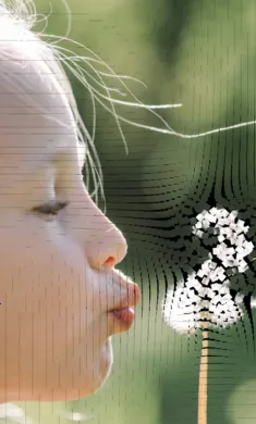 ��������ģ��(����ģ�ⴴ��)v0.981 �ٷ���