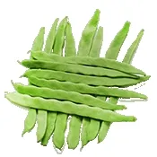 小菜豆最新手机版v4.1 手机版