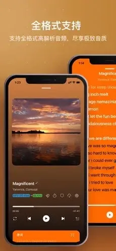 HiFier(���ֲ��Ź���)v1.0 �ٷ���