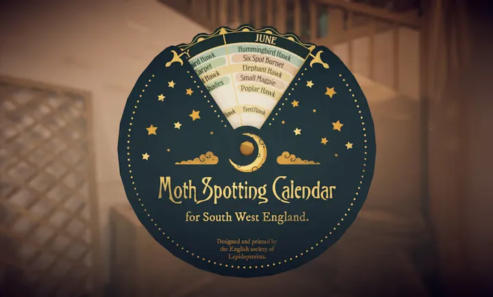 ��̹��ׯ԰�����ֻ���v1.0.2 ���°�