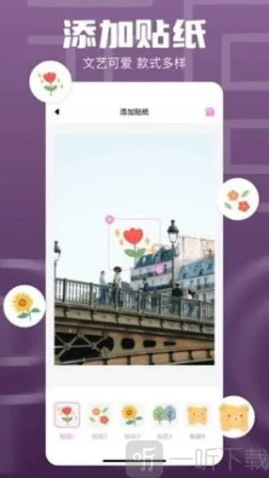 1DM(�����������)