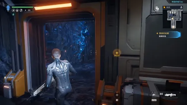 ��������������2026����