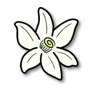 �Ȼ�ģ����2026����v2123.3 �ֻ���